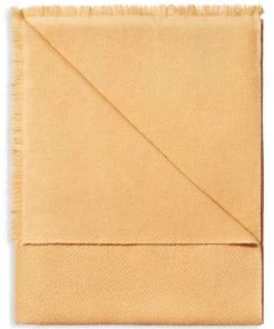 AERIN Introduction Noe Throw