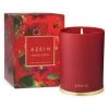 AERIN Introduction Nendaz Cypress Holiday Candle -Valentino And AERIN unnamed file 1110