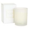 AERIN Uzès Tuberose Scented Candle -Valentino And AERIN unnamed file 1198