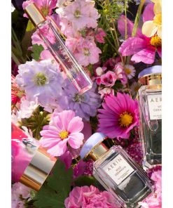 AERIN Wild Geranium Eau De Parfum Rollerball -Valentino And AERIN unnamed file 1207