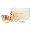 AERIN Classic Shagreen Bar Set -Valentino And AERIN unnamed file 1227