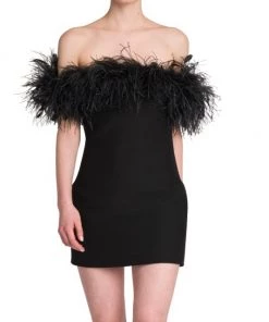 Valentino Feather-Embellished Off-The-Shoulder Minidress -Valentino And AERIN unnamed file 176