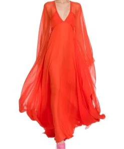 Valentino Sheer Cape Sleeve Gown 10 Valentino Sheer Cape Sleeve Gown -Valentino And AERIN unnamed file 200