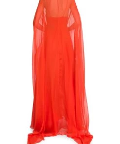 Valentino Sheer Cape Sleeve Gown 12 Valentino Sheer Cape Sleeve Gown -Valentino And AERIN unnamed file 202