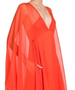 Valentino Sheer Cape Sleeve Gown 13 Valentino Sheer Cape Sleeve Gown -Valentino And AERIN unnamed file 203