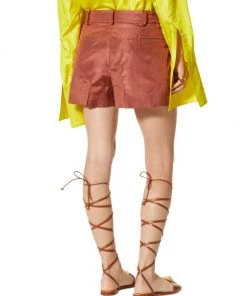 Valentino Elasticized Hammered Silk Shorts -Valentino And AERIN unnamed file 40