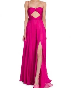 Valentino Silk Chiffon Gown -Valentino And AERIN unnamed file 416