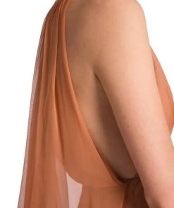 Valentino Sleeveless Cape-Back Gown 13 Valentino Sleeveless Cape-Back Gown -Valentino And AERIN unnamed file 502