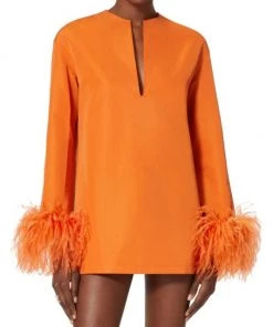 Valentino Embroi Feather-Cuff Minidress -Valentino And AERIN unnamed file 56