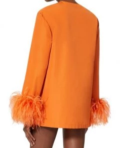 Valentino Embroi Feather-Cuff Minidress -Valentino And AERIN unnamed file 57