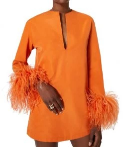 Valentino Embroi Feather-Cuff Minidress -Valentino And AERIN unnamed file 58