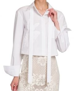 Valentino Embroidered Poplin Butterfly Shirt 14 Valentino Embroidered Poplin Butterfly Shirt -Valentino And AERIN unnamed file 629