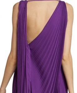 Valentino Pleated Silk Cape Gown -Valentino And AERIN unnamed file 744