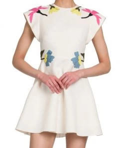 Valentino Flower-Embellished Mini-Dress -Valentino And AERIN unnamed file 943